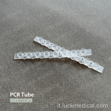 PRICA PCR 8 Strip tubo